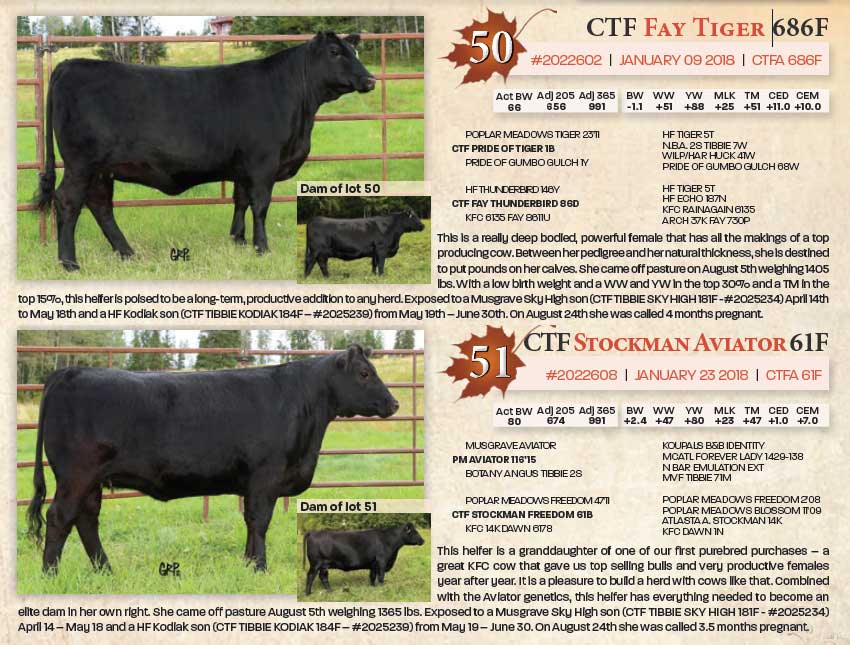 Upcoming Sales at Canyon Tree Farms Inc