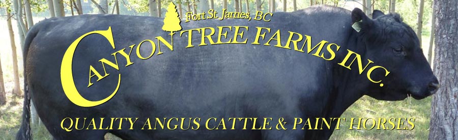 Genetic testing at Canyon Tree Farms Inc